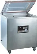 Вакуумный упаковщик CVP-400-2E-G